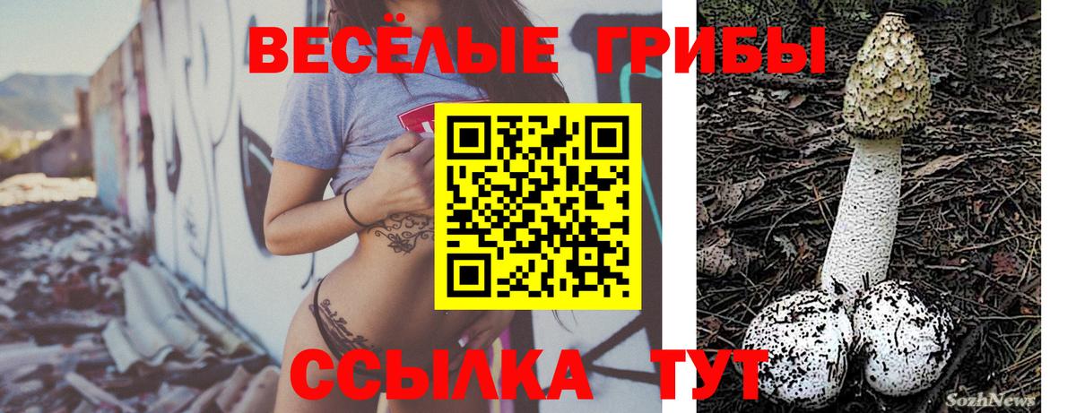 Псилоцибиновые грибы мухоморы Мурманск